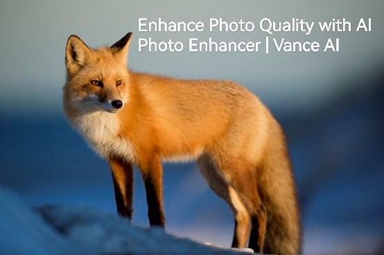 Enhance Photo Quality With AI Photo Enhancer | VanceAI