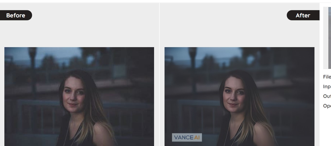 Vance AI