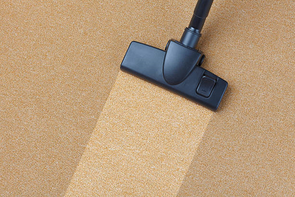 The Ultimate Guide To Carpet Cleaning: Everything You Need To Know