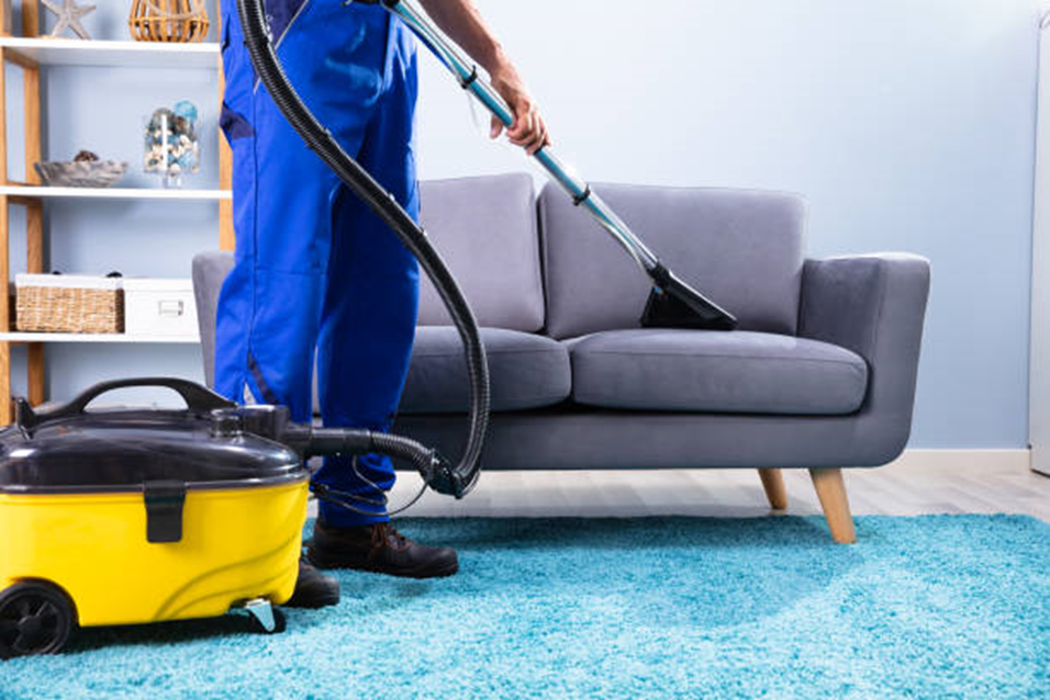 A Comprehensive Guide To Carpet Cleaning Services: What You Need To Know