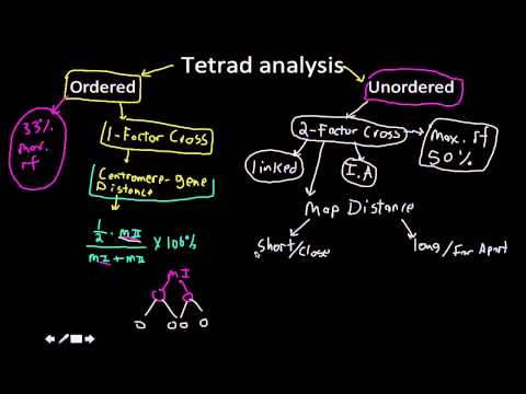 haploid mapping in eukaryotes (quick map)