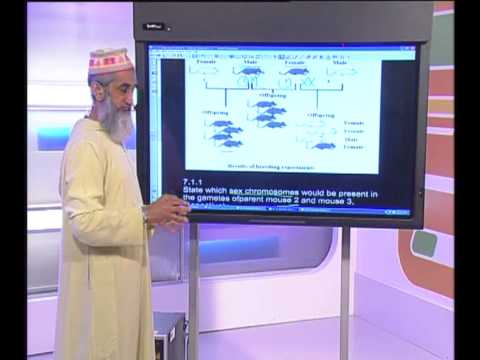Life Sciences: Exam Questions 16 June 2012_Seg 2...