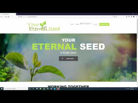 Your Eternal Seed update $100 - How All Movement On...