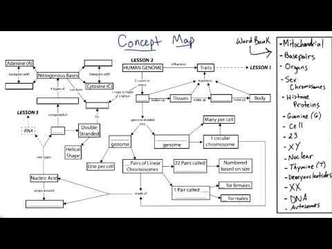 Concept Map 2 Returns - Tales from the Genome