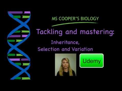 Tackling and mastering inheritance, selection and...