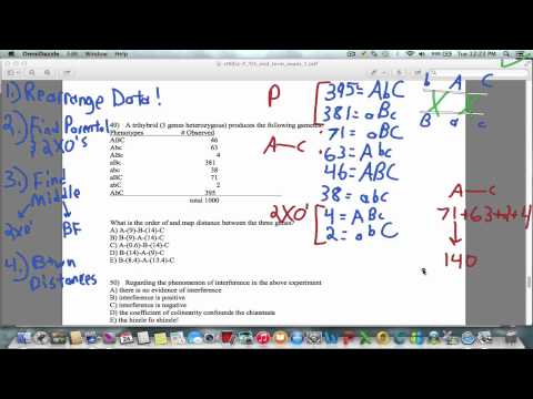 Genetics! Gene mapping in 4 steps!