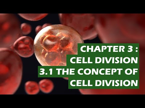 3.1 Concept of Cell Division