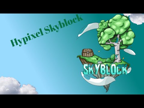 Hypixel, Skyblock Contraband Stream/Vibing!