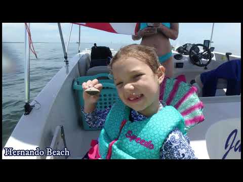 What Does Freedom Boat Club of Tampa Bay Have To Offer?