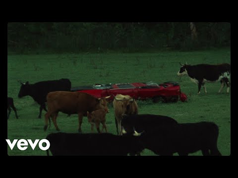 Modest Mouse - We Are Between (Official Music Video)