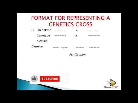 genetic crosses and how do we mark genetic crosses,...