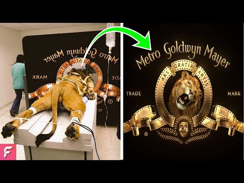 MOST FAMOUS BRAND LOGOS WITH A HIDDEN SECRET! (MEANING...