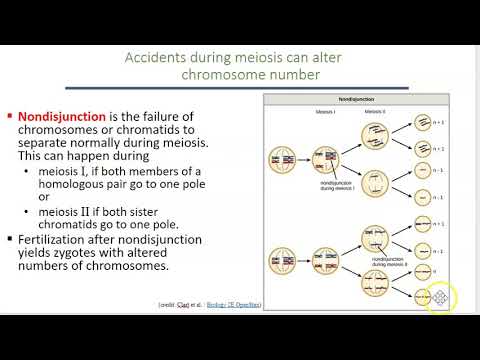 Human Genetics Lab - Part 1