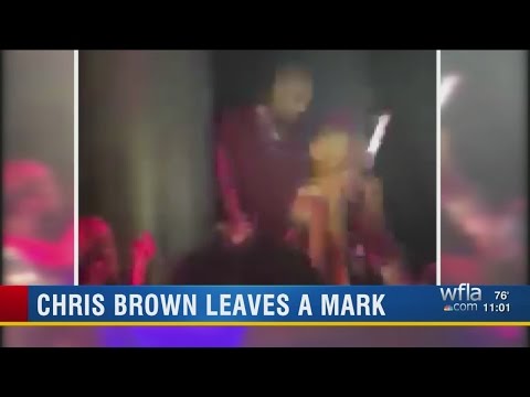 Police: Singer Chris Brown punched photographer at...