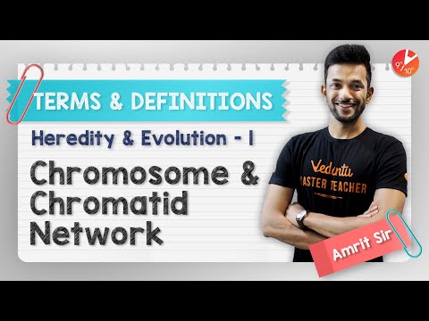 Heredity and Evolution Terms | Chromosome and...