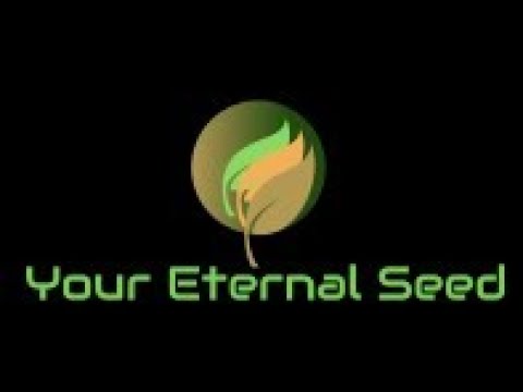 Your Eternal Seed Review | 4 Amazing Benefits | Free...
