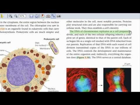 MasteringBiology for UBC BIOL 112, 121, 140