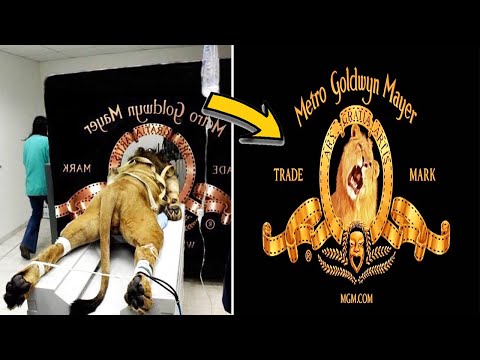 Top 5 Stories Behind Hollywood Studio Logos ,Movie...