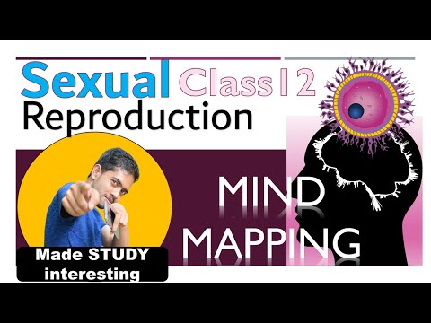 Sexual Reproduction |Class 12 | IMPORTANT...
