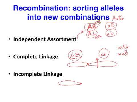 BIOL183: Introduction to Gene Linkage & Linkage Maps