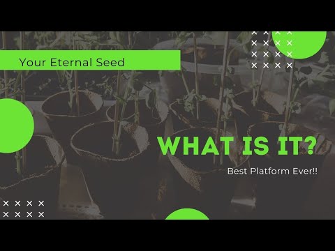 Your Eternal Seed | What Is It? |The Best Cash Gifting...