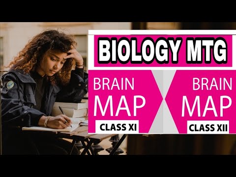 Biology mtg concept map. pdf