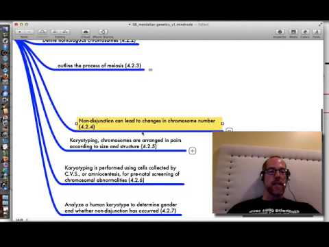 IB Heredity/Genetics Overview