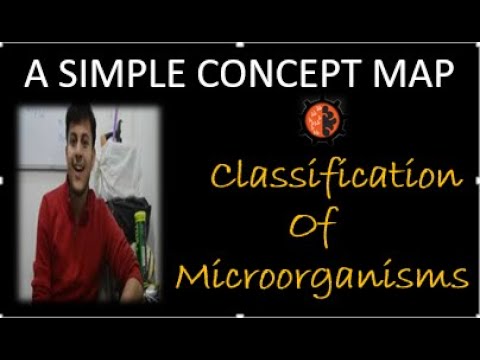 Classification of Microorganisms | simple concept map...