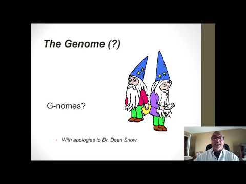 Linkage mapping: Simple mapping