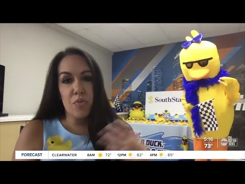 Kiwanis Club of Tampa's Incredible Duck Race goes...