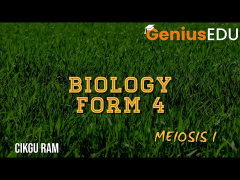 BIOLOGY SPM - MEIOSIS CELL DIVISION - FORM 4