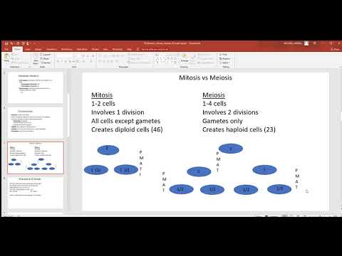 95 Genetics, mitosis, meiosis, Punnett square...