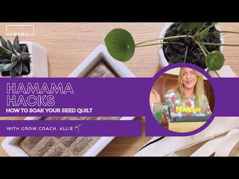 Hamama Hacks: How to Soak Your Seed Quilt for Optimal...