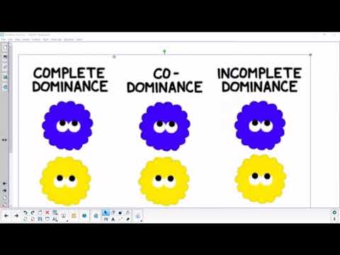 Genetics Cross revision