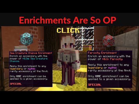 Enrchiment Guide Hypixel Skyblock