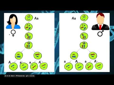Genetics Basics 1