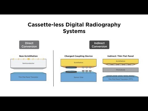 Digital Radiography System Explained (step-by-step)
