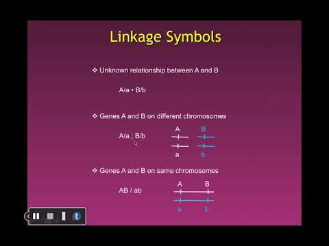 Ch 4- Eukaryotic Chromosome Mapping