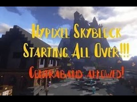 2/4 iron man profile (hypixel skyblock giveaway 25...