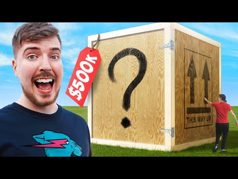 I Bought The World's Largest Mystery Box! ($500,000)