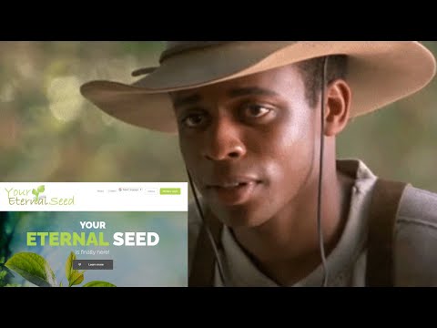 Your Eternal Seed Review Lets Fix That!