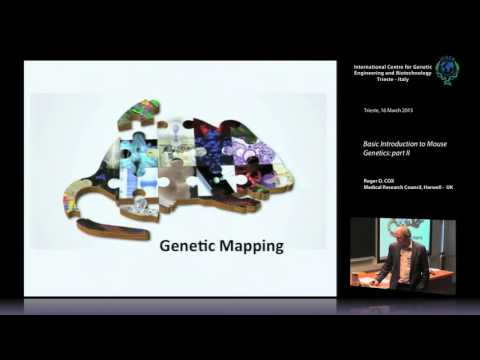 R. D. Cox - Basic Introduction to Mouse Genetics: part...