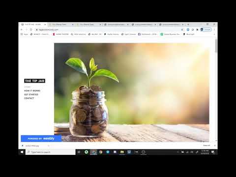 Your Eternal Seed/ The Tip Jar