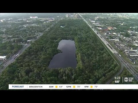Walking Club: Exploring Al Lopez Park in Tampa