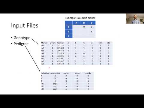 Tools for Polyploids Workshop: PolyOrigin (01 14 2021)