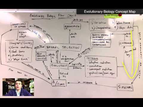 Evolutionary Biology Concept Map - Mr. Williams