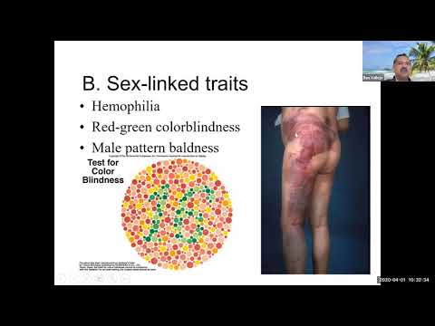 Lecture Human Genetics