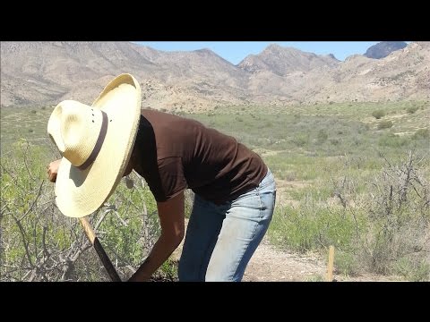 Archaeology Southwest: 2013 In Review