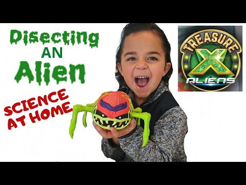 DISECTING a Treasure X ALIEN- Science experiment at...