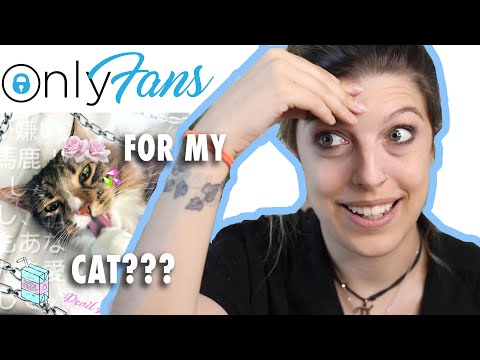 I made my CAT an ONLYFANS Account?? I made $__?